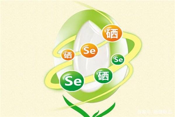 WM-SE硒营养剂:制造业绿色升级中的微量元素解决方案